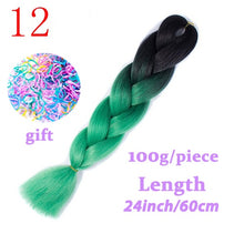 Load image into Gallery viewer, Braiding Synthetic Hair 88Colors Available 24Inch Crochet Blonde Hair For Women Extensions Jumbo Braids Hairstyles