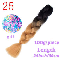 Load image into Gallery viewer, Braiding Synthetic Hair 88Colors Available 24Inch Crochet Blonde Hair For Women Extensions Jumbo Braids Hairstyles