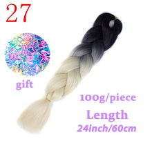 Load image into Gallery viewer, Braiding Synthetic Hair 88Colors Available 24Inch Crochet Blonde Hair For Women Extensions Jumbo Braids Hairstyles