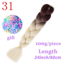 Load image into Gallery viewer, Braiding Synthetic Hair 88Colors Available 24Inch Crochet Blonde Hair For Women Extensions Jumbo Braids Hairstyles