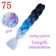 Load image into Gallery viewer, Braiding Synthetic Hair 88Colors Available 24Inch Crochet Blonde Hair For Women Extensions Jumbo Braids Hairstyles